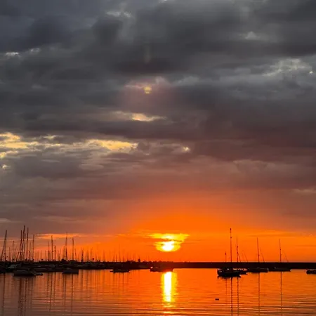 Elimar-torrevieja Torrevieja