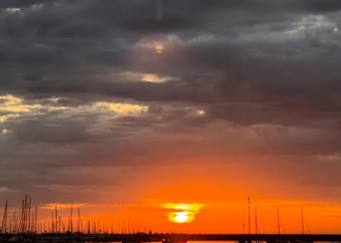 Elimar-torrevieja Torrevieja